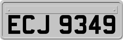 ECJ9349