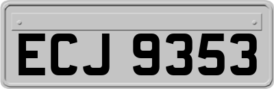 ECJ9353