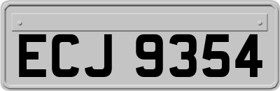 ECJ9354