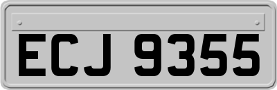 ECJ9355