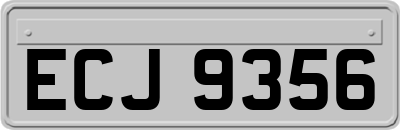 ECJ9356