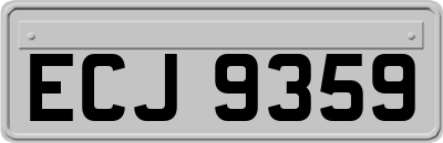 ECJ9359