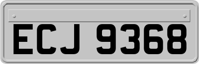 ECJ9368