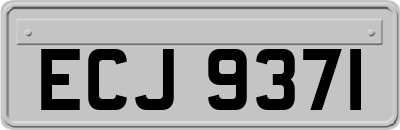 ECJ9371