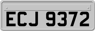 ECJ9372