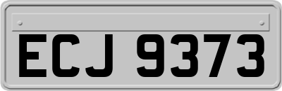 ECJ9373