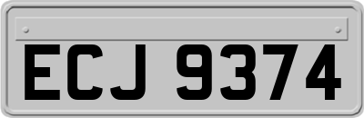 ECJ9374