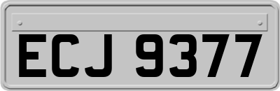 ECJ9377
