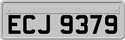 ECJ9379
