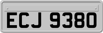 ECJ9380