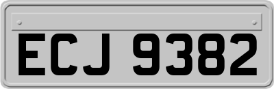 ECJ9382