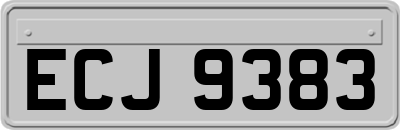 ECJ9383