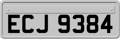 ECJ9384