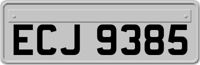 ECJ9385