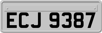 ECJ9387