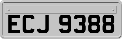 ECJ9388