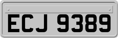 ECJ9389