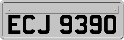 ECJ9390