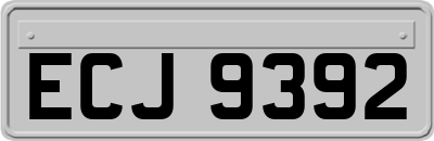 ECJ9392