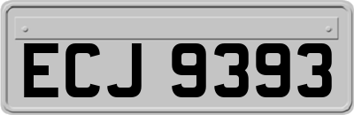 ECJ9393