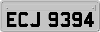 ECJ9394
