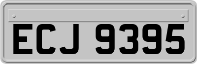 ECJ9395