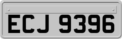 ECJ9396