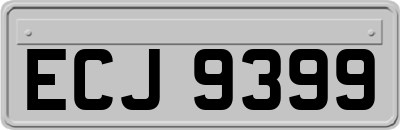 ECJ9399
