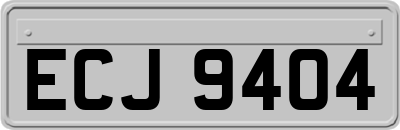 ECJ9404