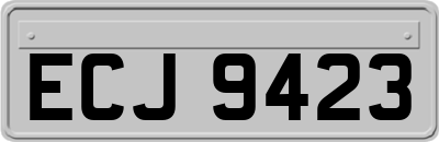 ECJ9423