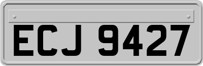 ECJ9427