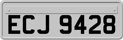 ECJ9428