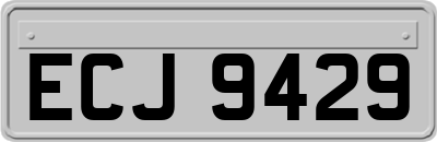 ECJ9429