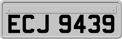 ECJ9439