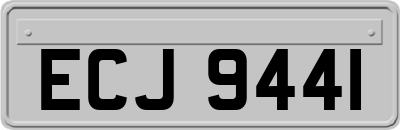 ECJ9441