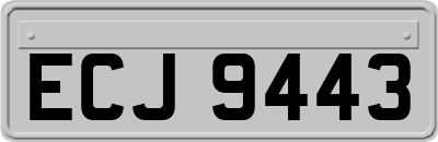 ECJ9443
