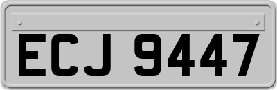 ECJ9447