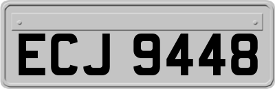 ECJ9448