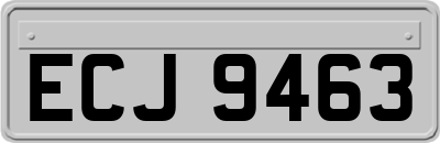 ECJ9463