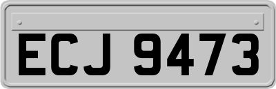 ECJ9473