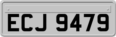 ECJ9479