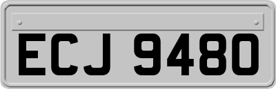 ECJ9480