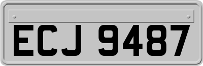 ECJ9487