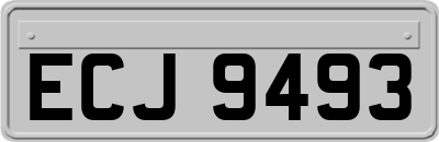 ECJ9493