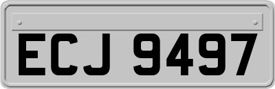 ECJ9497