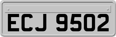 ECJ9502