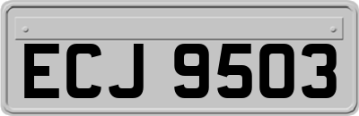 ECJ9503