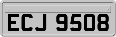 ECJ9508