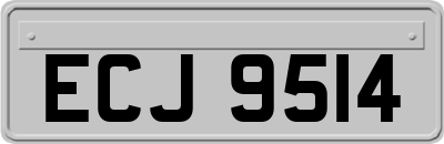 ECJ9514