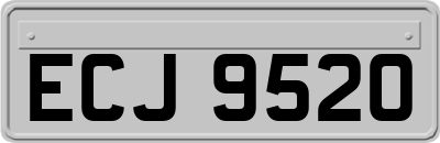 ECJ9520